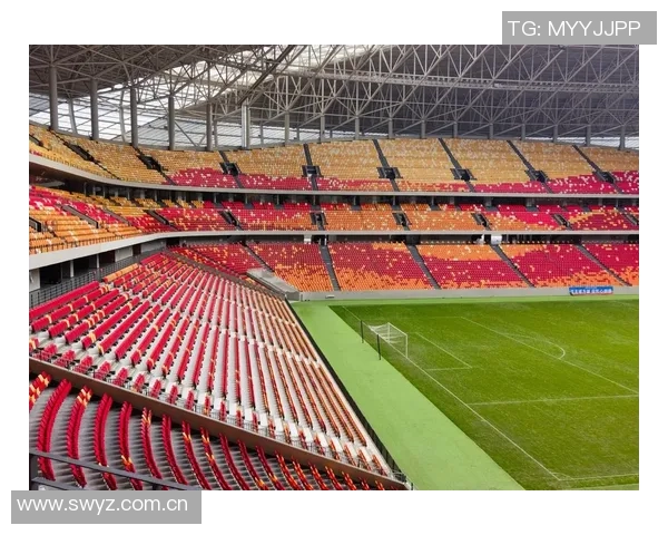 重庆铜梁龙明年主场将落户龙兴足球场正式确定