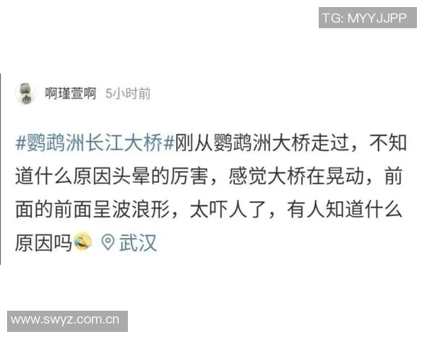 人生如戏澳波短暂执教之路从夺冠到下课再到解雇的悲喜交加