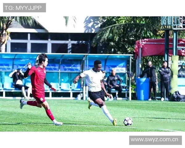 热那亚或将与中超旧将斯坦丘提前解约本赛季表现平平仅进1球